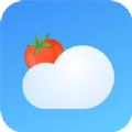番茄天气app预报