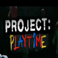 ProjectPlaytime联机版