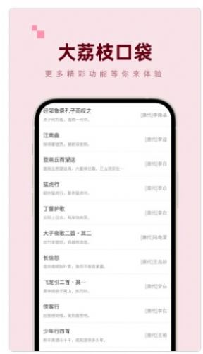大荔枝口袋工具箱app手机版 v1.0.0