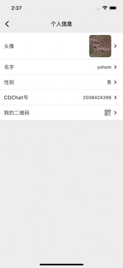 CD Chat聊天app苹果版 1.0.2