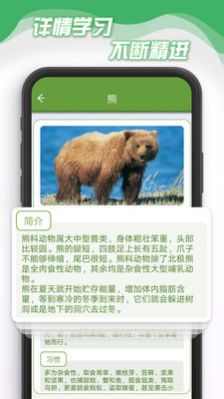 小熊削削削熊类百科app官方版图片1