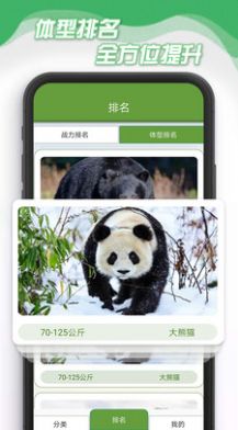 小熊削削削熊类百科app官方版 v1.0